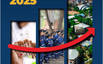 Revista Datos & Cifras 2025